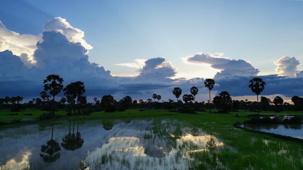 Ondergelopen rijstvelden bij Siem Reap met palmbomen en dramatische wolken bij schemering