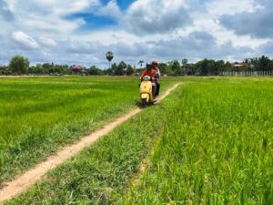 Two guests riding a yellow Vespa along a narrow dirt path through bright green rice paddies in the Siem Reap countryside