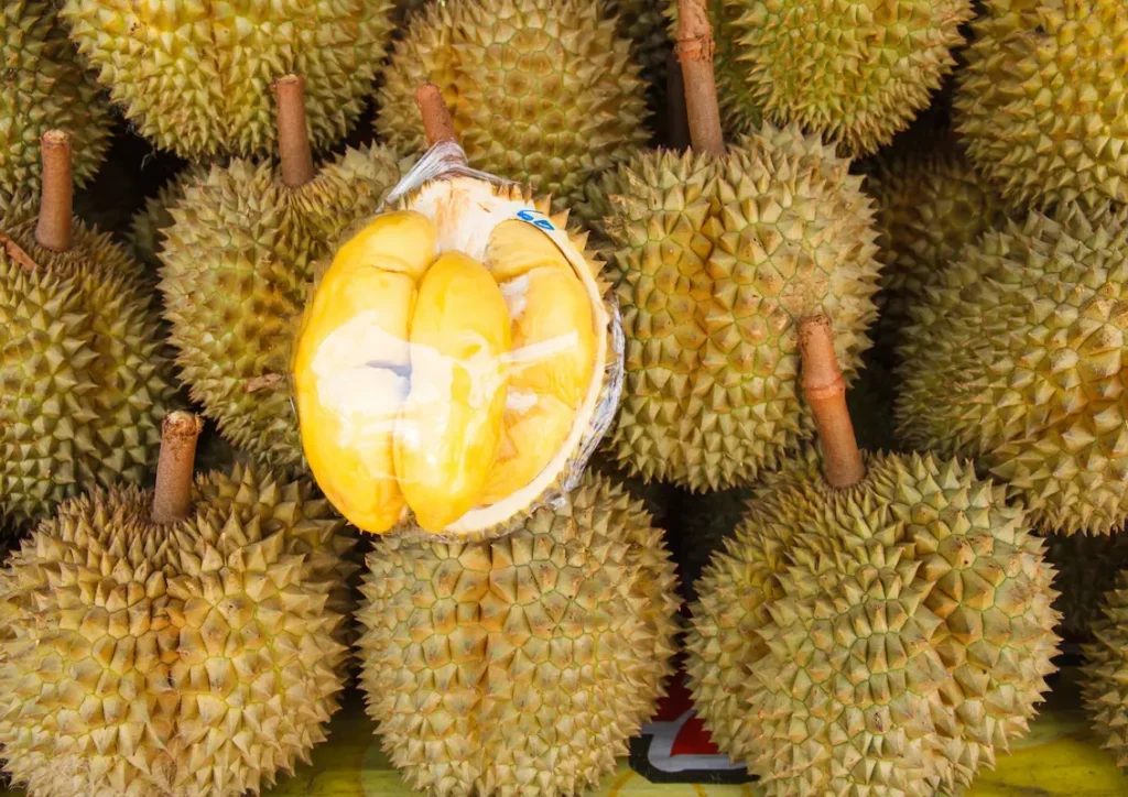durian fruit in and out