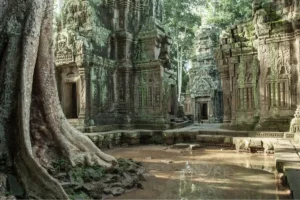 Ancient stone temple courtyard at Ta Prohm with massive tree roots and carved architectural details covered in moss