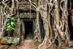 Ancient stone doorway at Ta Prohm framed by massive tree roots and overgrown vegetation
