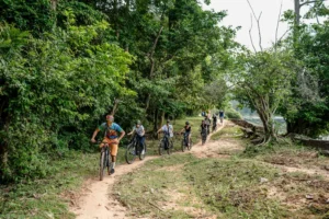 Group of cyclists riding on a dirt path through lush vegetation near Angkor moat