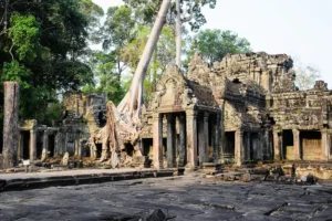 Large tree root enveloping stone temple structure at Prasat Preah Khan, Angkor archaeological park
