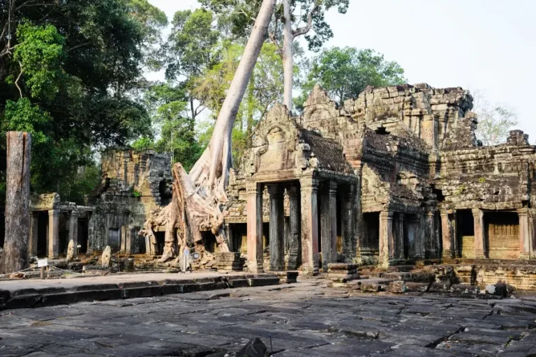 Large tree root enveloping stone temple structure at Prasat Preah Khan, Angkor archaeological park