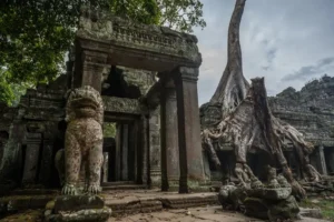 Stone lion guardians and massive tree roots frame the weathered entrance pavilion of Prasat Preah Khan temple in Angkor