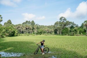 Gast staand met een mountainbike voor een met lelies begroeide vijver, omzoomd door suikerpalmen op een rustig Angkor-pad