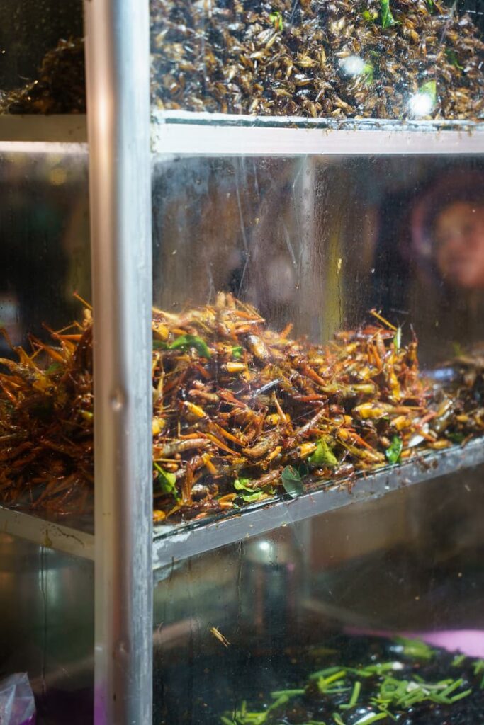Close-up of edible insects in a store display during a Siem Reap food tour