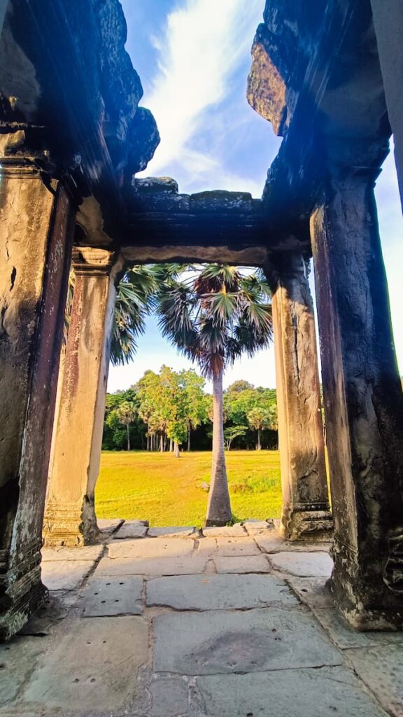 angkor entrance with palm tree