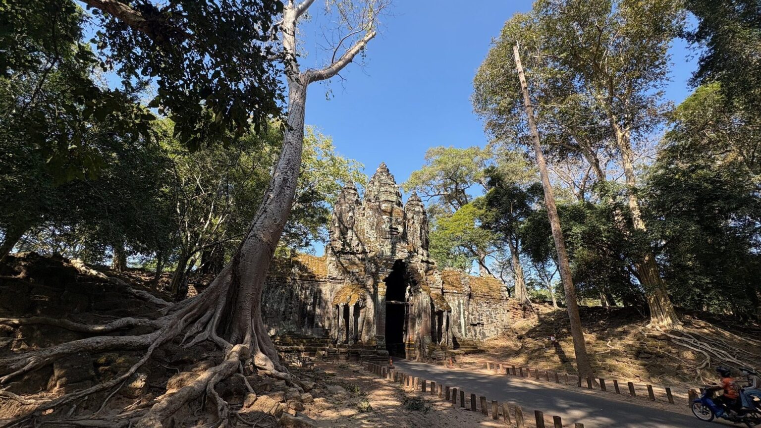 An Angkor temple gate beneath the forest canopy