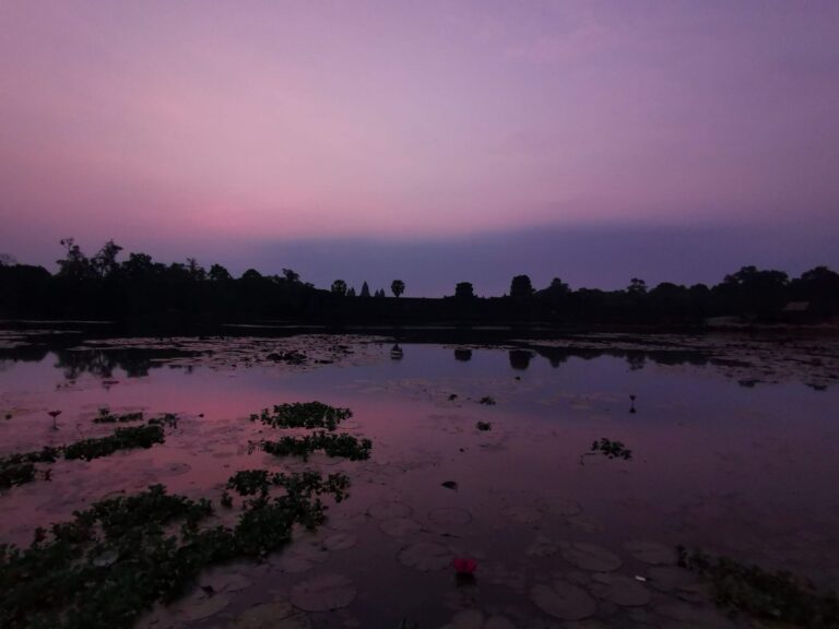 Purple-pink dawn sky reflected in a lily pond at Angkor Wat.