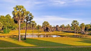 Open green grounds with sugar palms northwest of Angkor Wat.