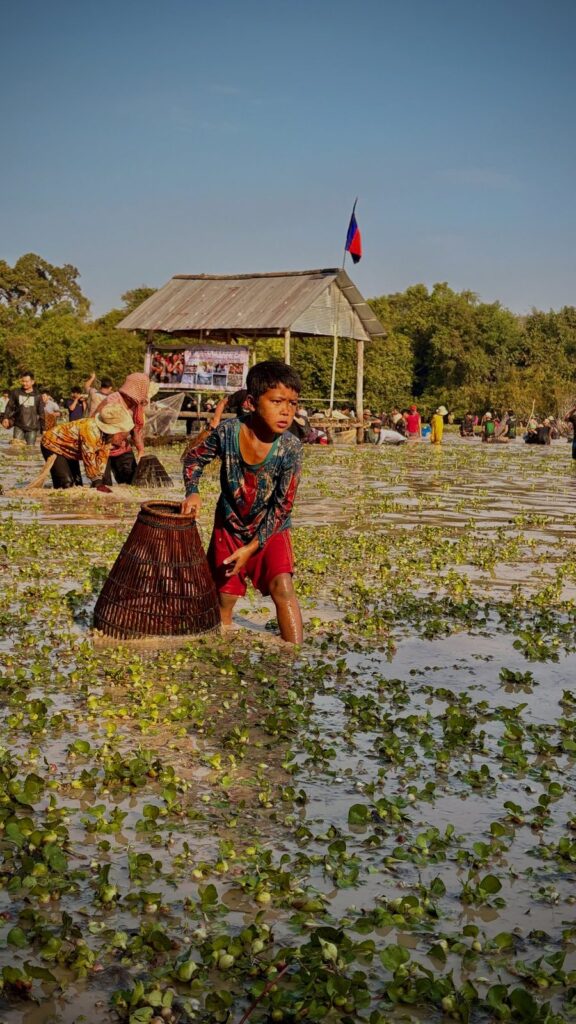 Kind dat waterhyacinten oogst in een overstroomd veld, Cambodja.