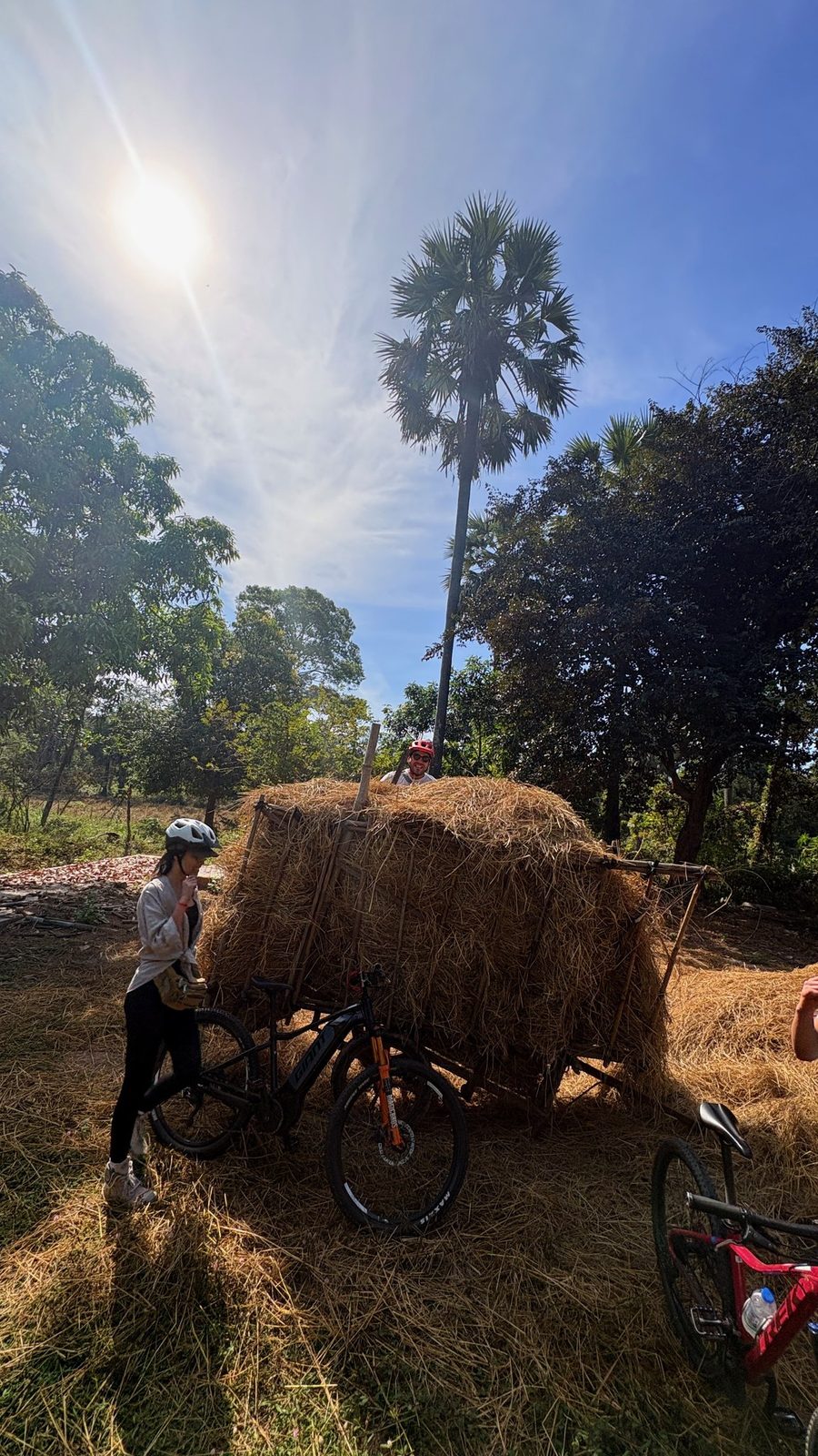 A Cambodian farmer with a buffalo-drawn hay cart and a bicycle in the countryside