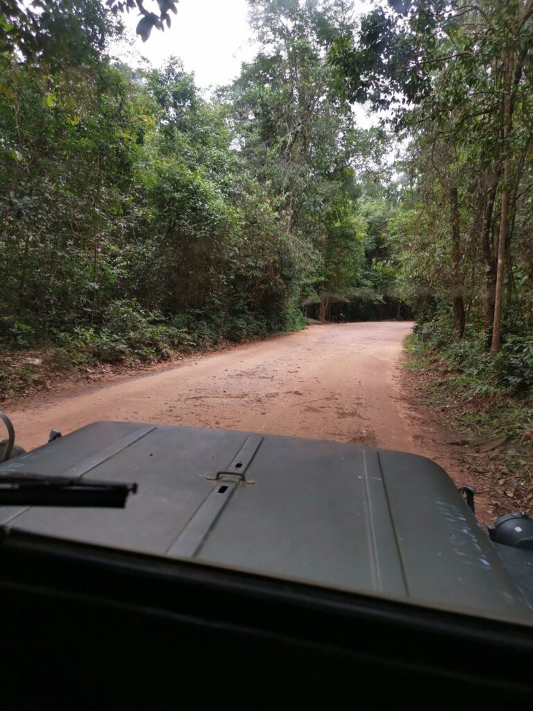 Vue à travers le pare-brise d'une vieille Jeep sur une route de Phnom Kulen bordée d'arbres.