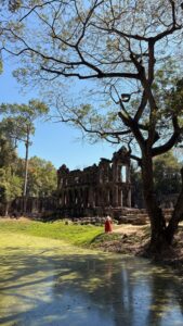 Preah Khan temple wall reflected in a still forest pond, with a tall tree.