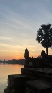 Palm tree silhouetted against the sunrise sky over Sra Srang.