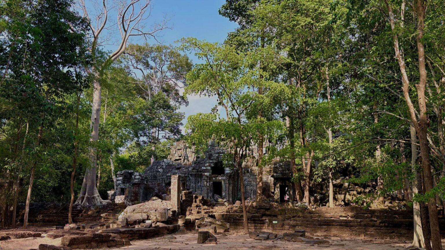Temple ruins under jungle canopy at Angkor