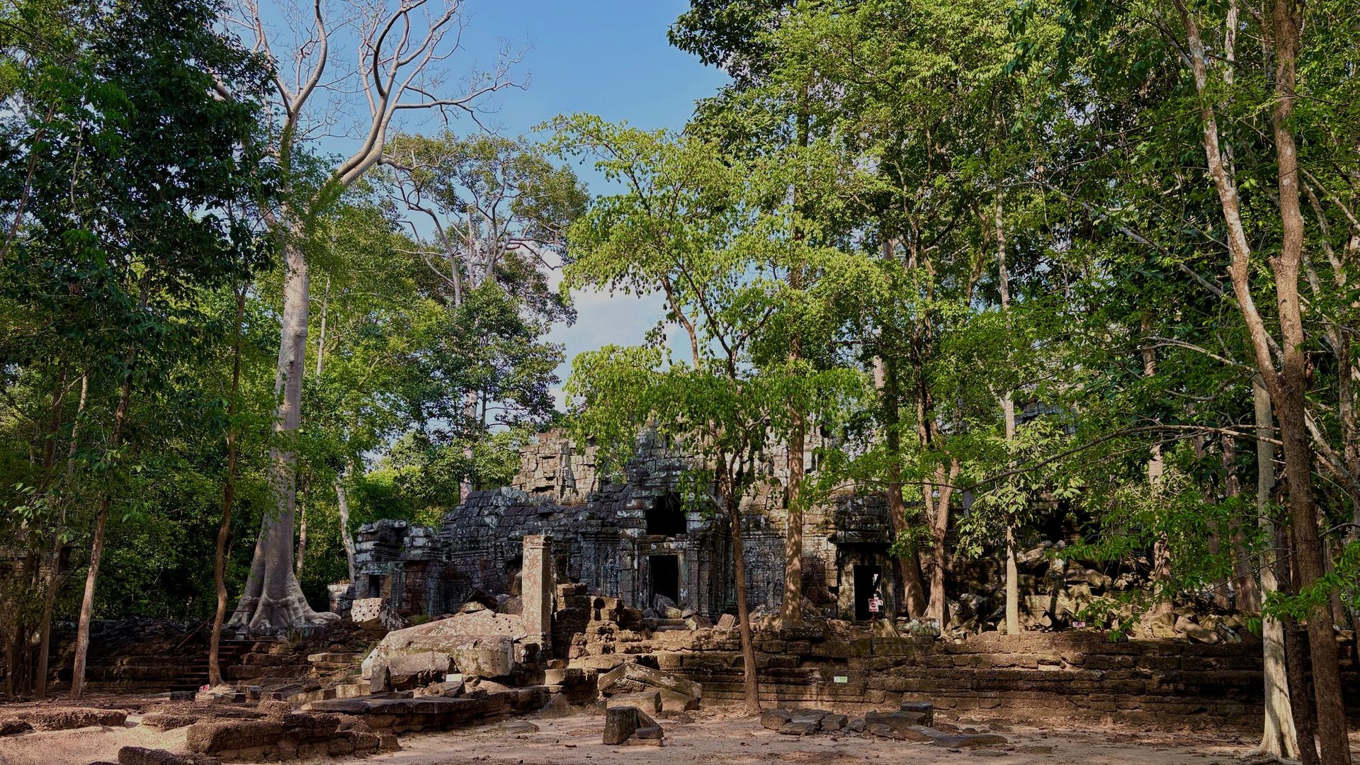 Temple ruins under jungle canopy at Angkor
