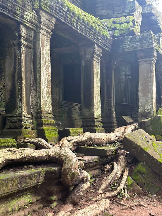 Moss-covered columns and ancient tree roots inside Ta Prohm temple at Angkor
