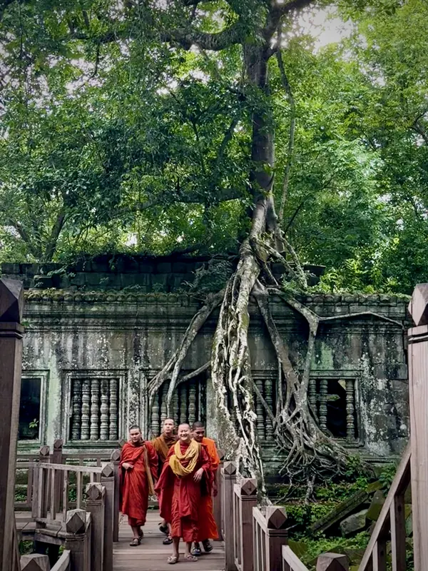 Buddhist monks in saffron robes walking the wooden walkway at Beng Mealea, tree roots spilling down the gallery wall behind them