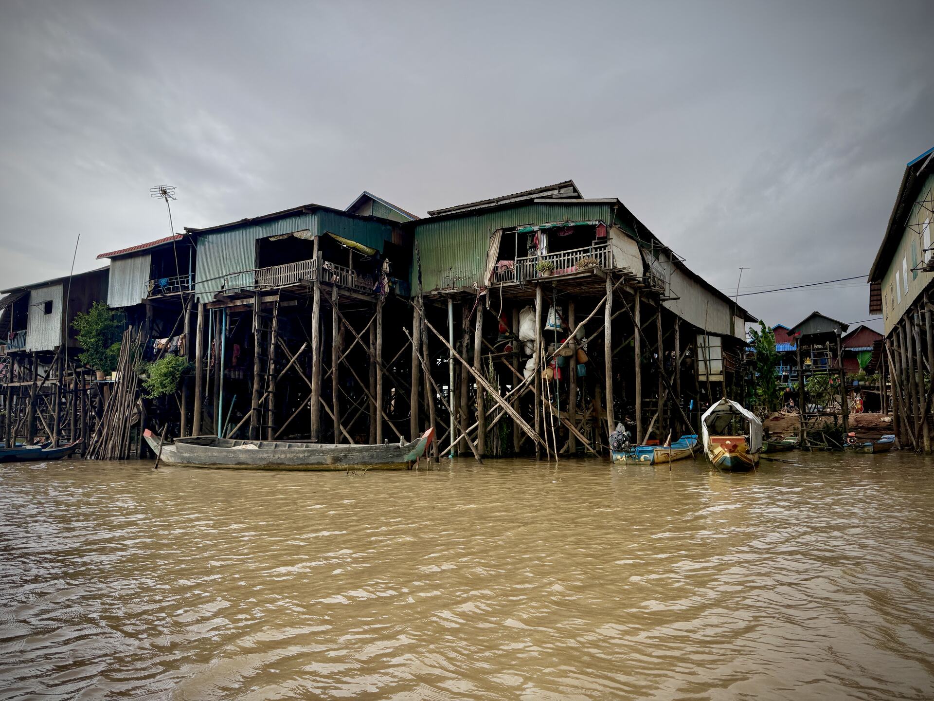 A cluster of tall stilt houses above the water at Kampong Phluk