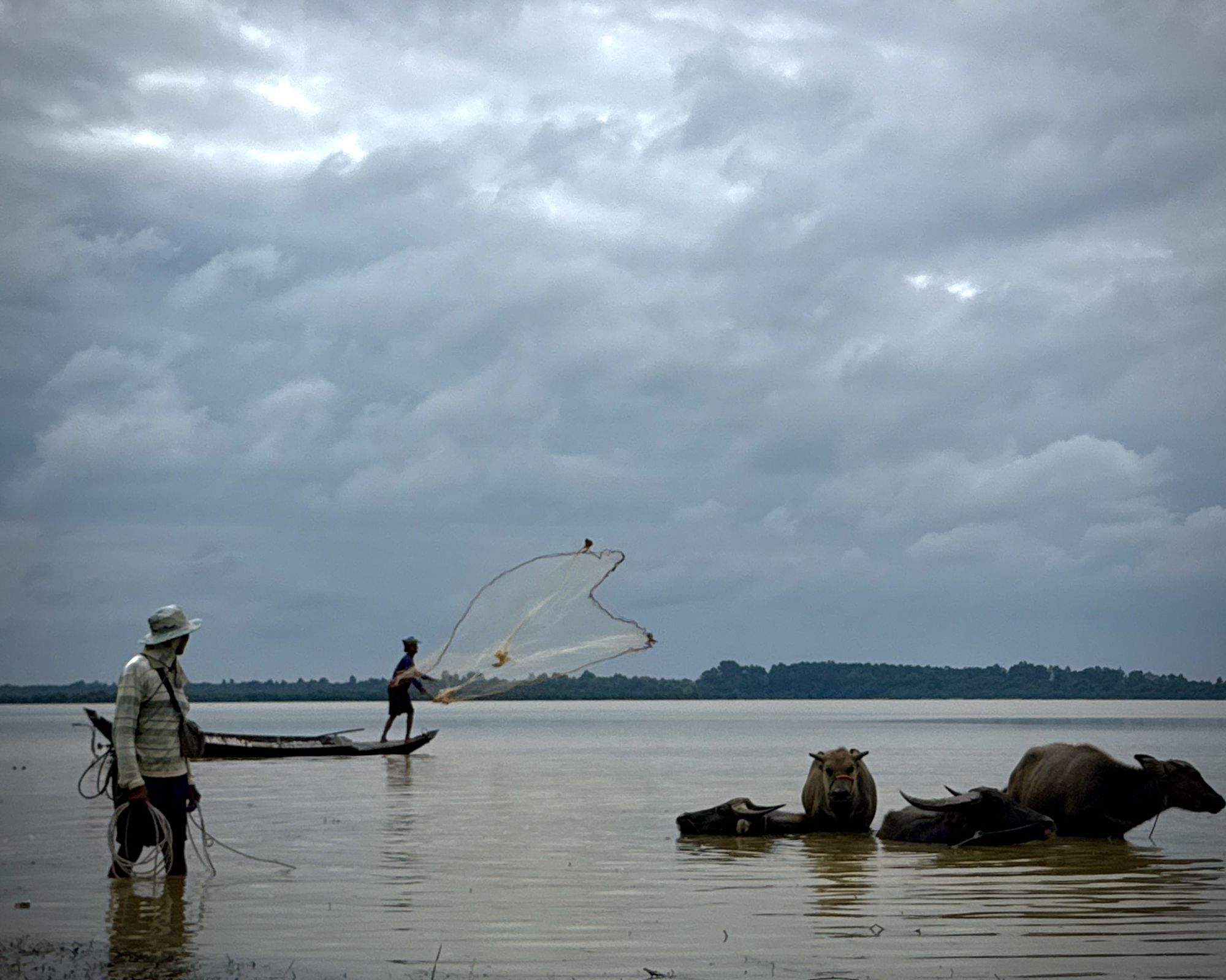 A fisherman casts a net on the West Baray while water buffalo stand shoulder deep beside him under a monsoon sky