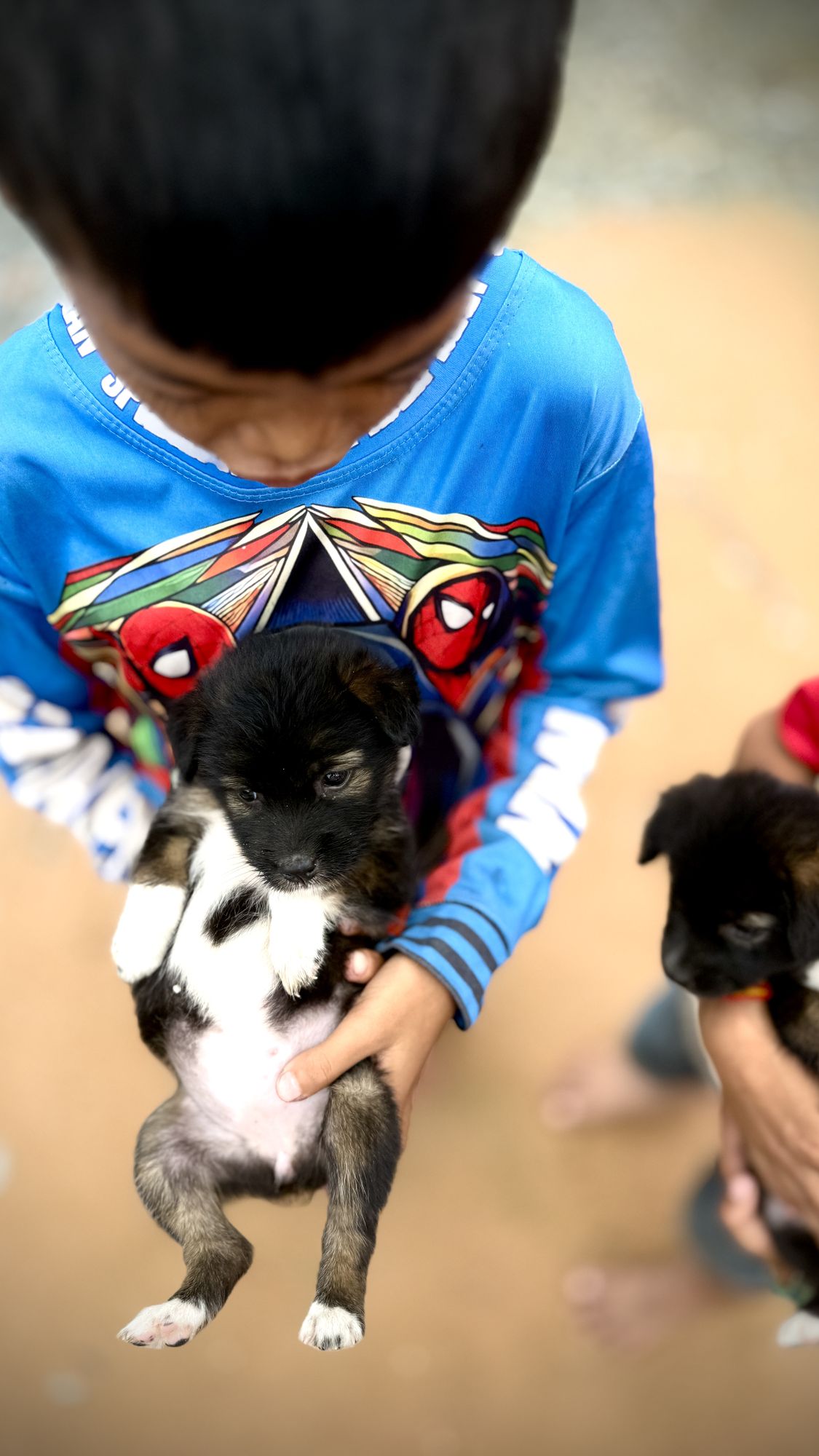 A boy holds up a puppy in the village